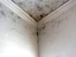 Best Residential Mold Inspection & Testing  in Laughlin Af, TX