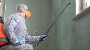 Best Mold Prevention Services  in Laughlin Af, TX