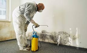 Mold Removal for HVAC Installations in Laughlin Af, TX