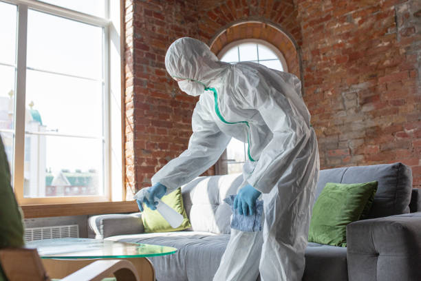 Why You Should Choose Our Mold Remediation Services in Laughlin Af, TX