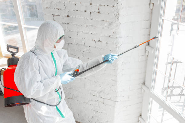 Best Mold Remediation for Healthcare Facilities  in Laughlin Af, TX